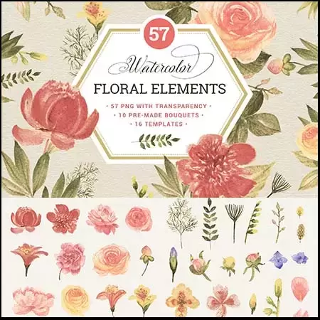 57个手绘水彩花卉和叶子PNG免抠图素材插图