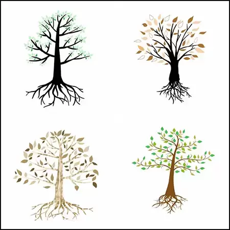 6款带有树根的抽象大树PNG免抠图插图