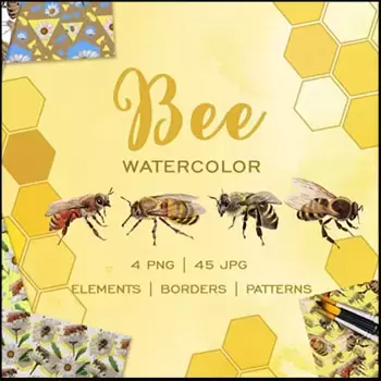 49个蜜蜂PNG免抠图和蜜蜂水彩JPG高清白底图插图