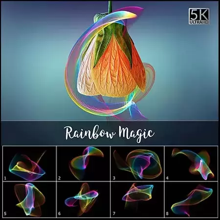 20个5K魔法彩虹抽象笔刷线条PNG免抠图