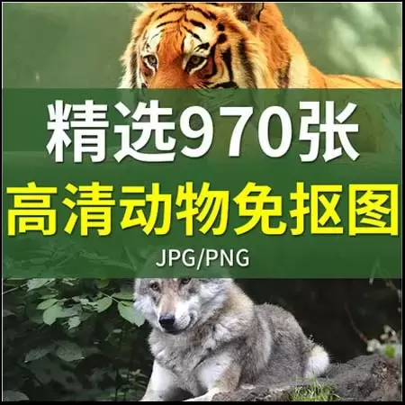 动物PNG免抠素材稀有动物JPG高清摄影图片PS合成素材插图