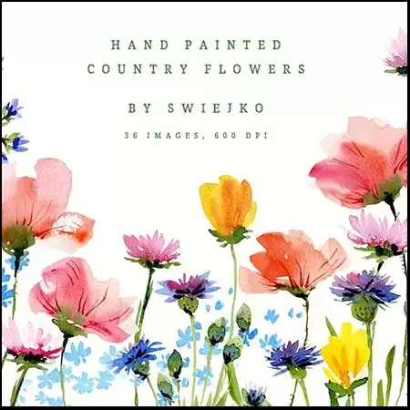 36个手绘的水彩花卉PNG免抠图插图