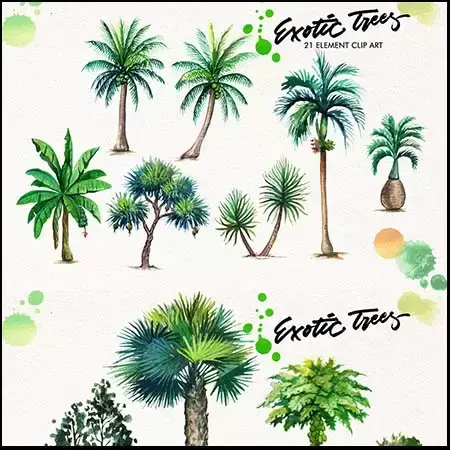 异国情调的水彩棕榈树和棕榈叶PNG免抠图插图