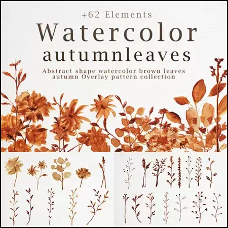 秋天秋季抽象水彩棕色叶子PNG免抠图插图