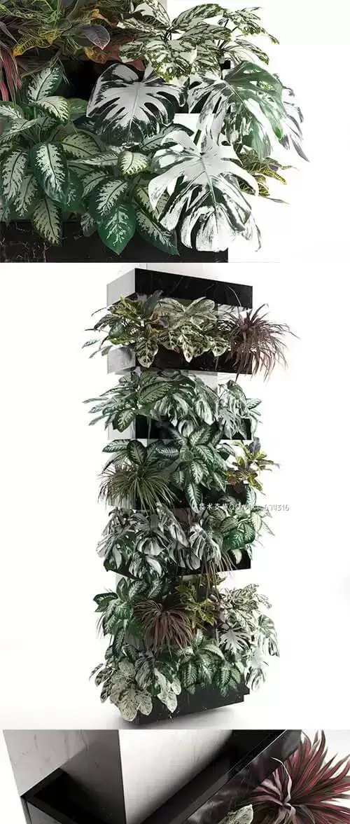 方柱与植物墙面绿植装饰3D模型下载 (MAX,FBX,OBJ,C4D)免费下载