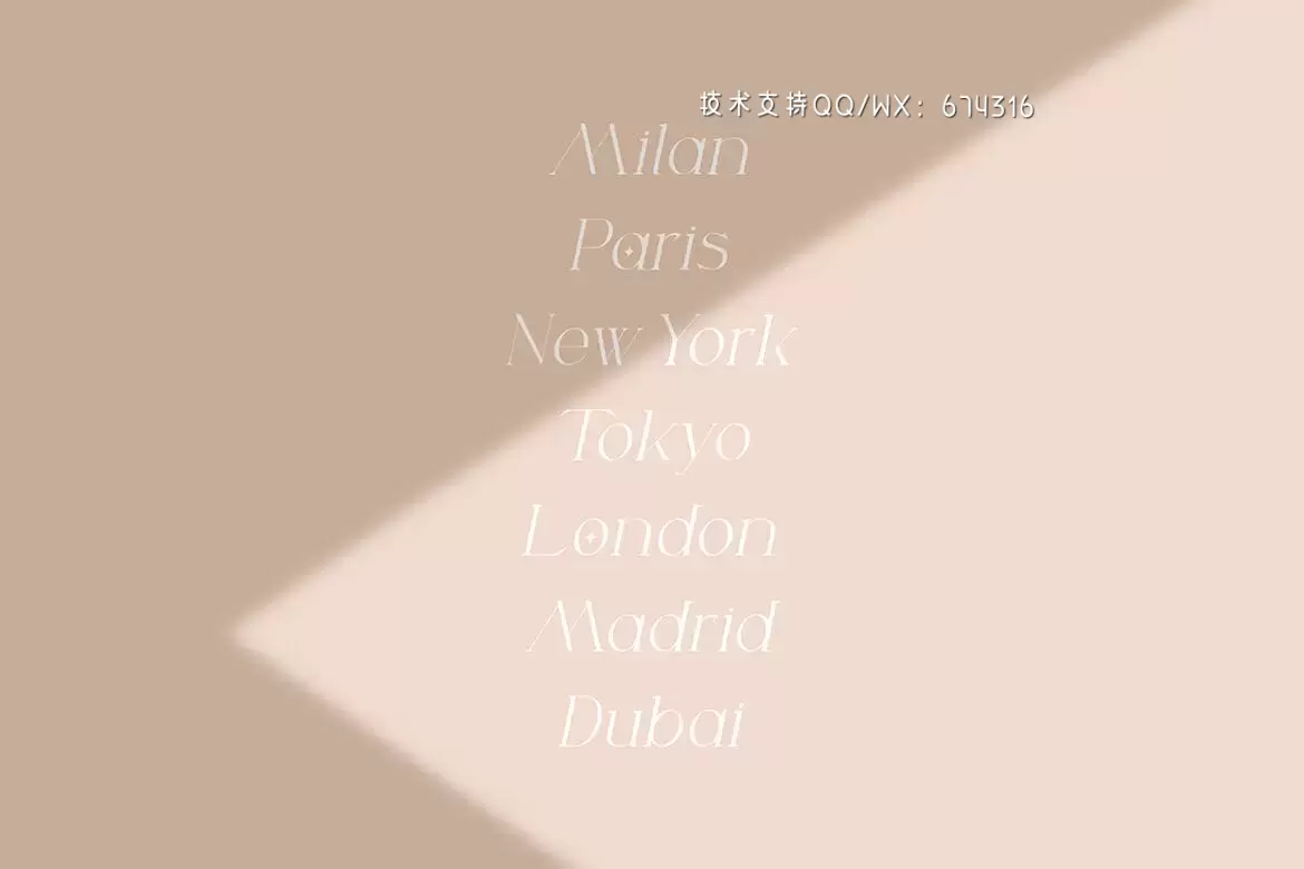 时尚高端优雅专业的高品质英文字体设计插图5