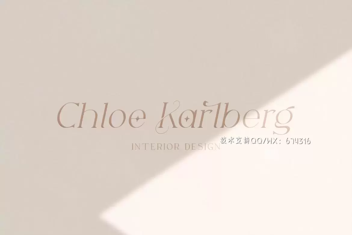 时尚高端优雅专业的高品质英文字体设计插图2