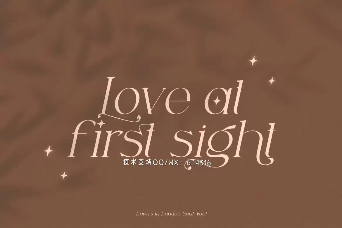 时尚高端优雅专业的高品质英文字体设计插图3