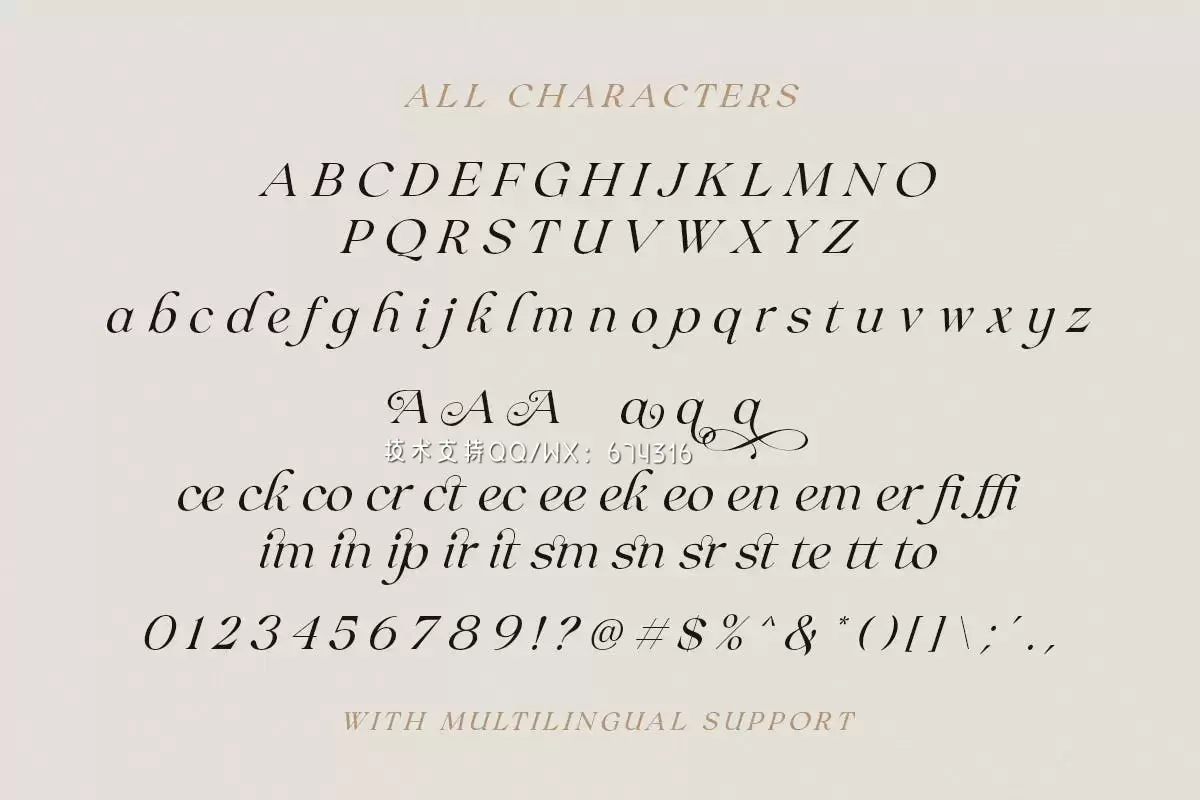 时尚高端专业的高品质优雅斜体衬线英文字体设计插图8