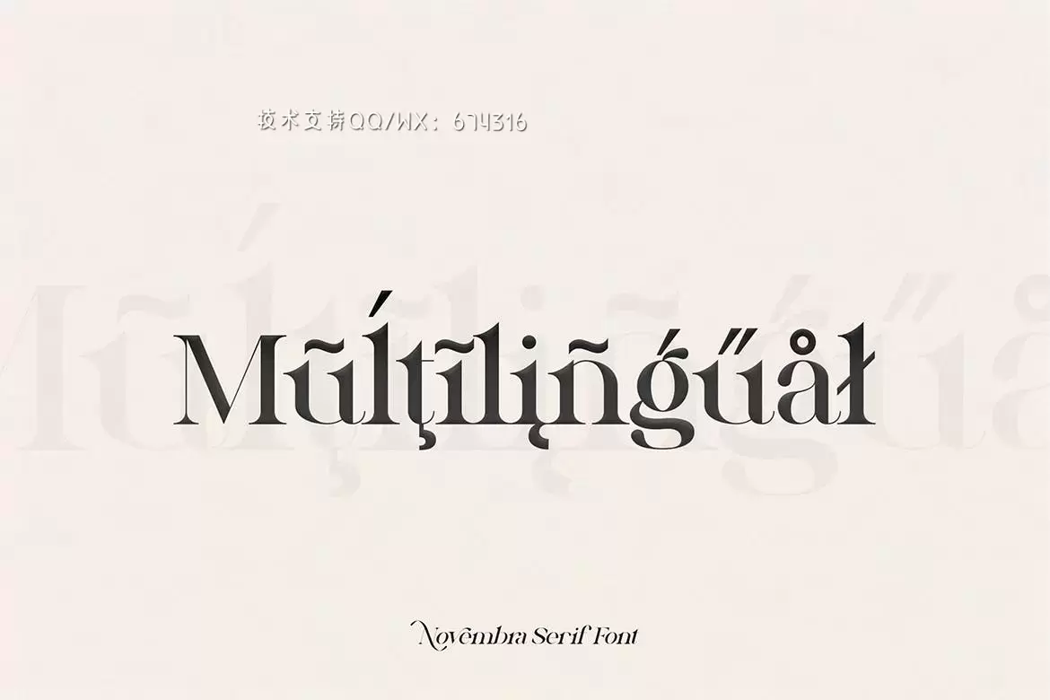 高端时尚优雅多用途的Novembra Serif 英文字体插图4