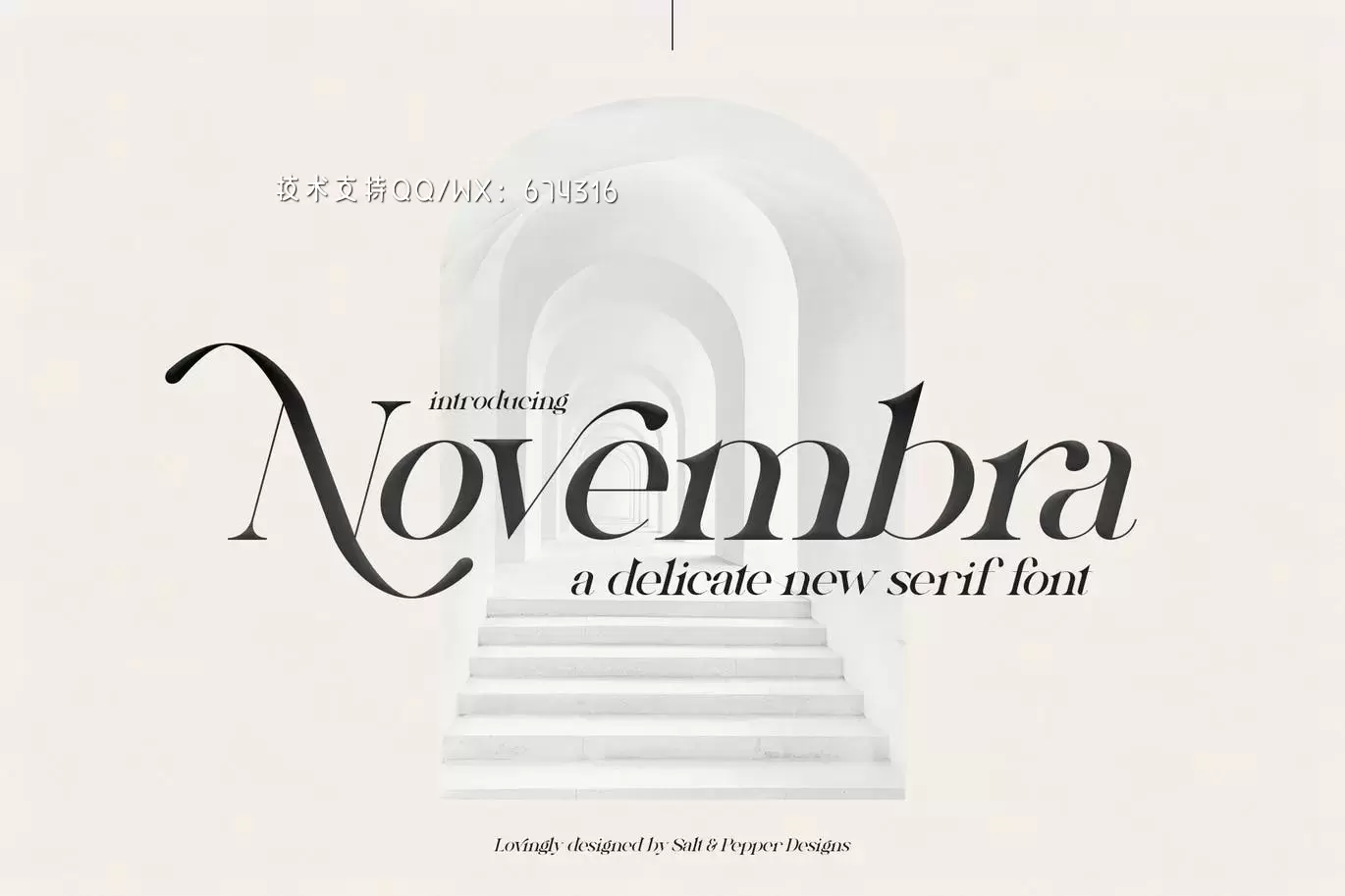 高端时尚优雅多用途的Novembra Serif 英文字体插图