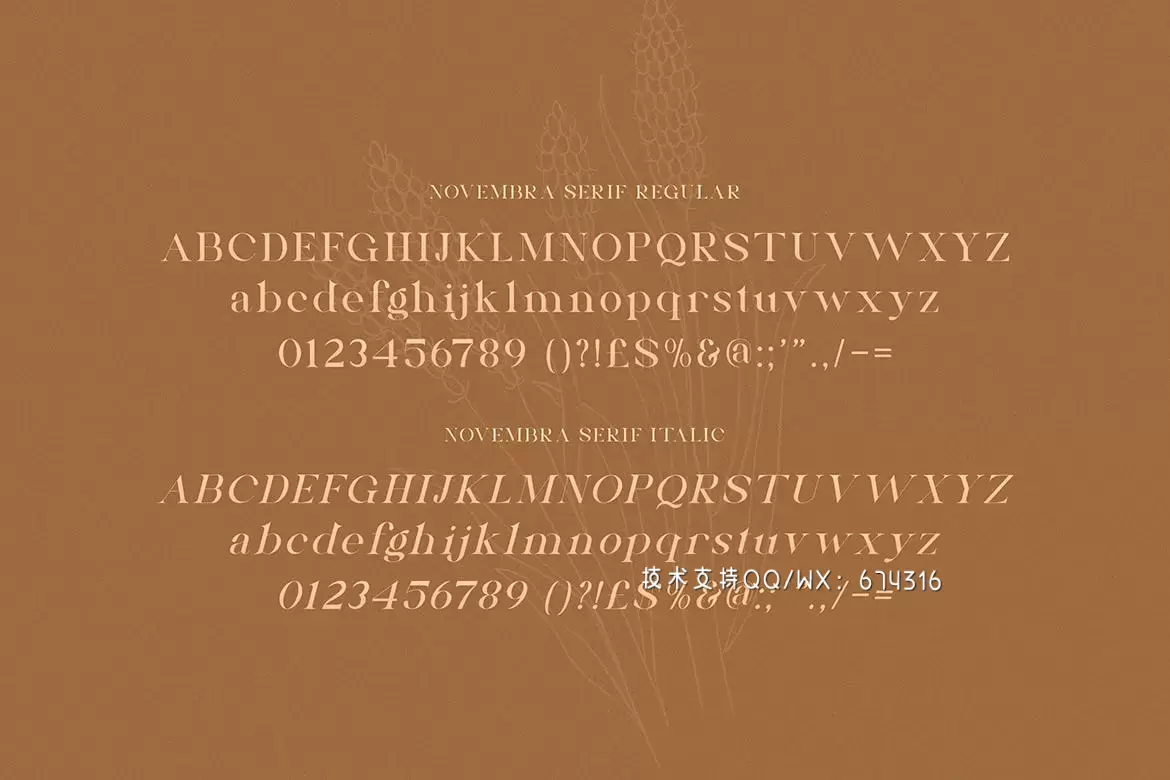 高端时尚优雅多用途的Novembra Serif 英文字体插图2