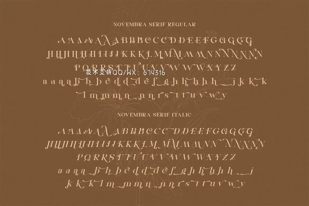 高端时尚优雅多用途的Novembra Serif 英文字体插图1