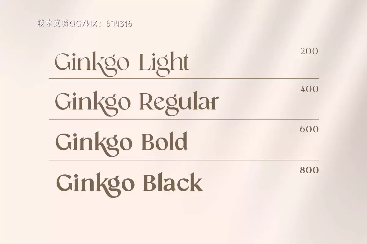 Ginkgo – 时尚高端优雅现代优雅衬线字体插图1