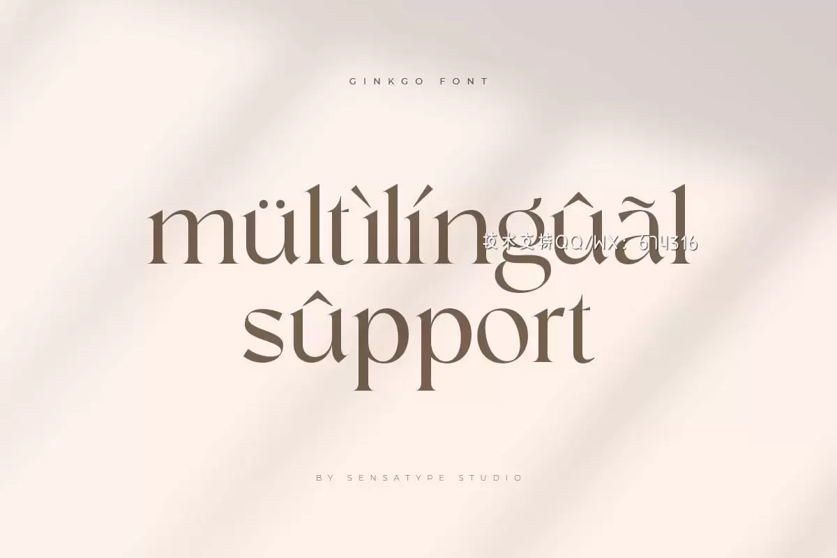 Ginkgo – 时尚高端优雅现代优雅衬线字体插图12