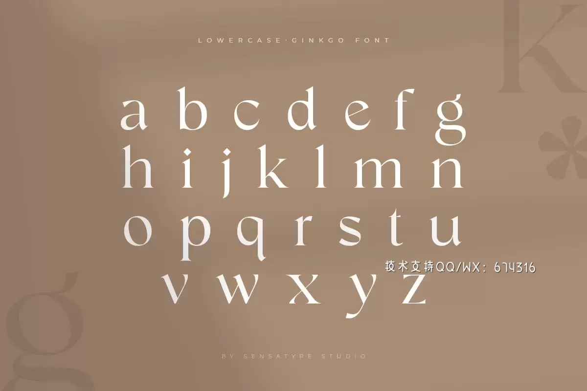 Ginkgo – 时尚高端优雅现代优雅衬线字体插图15