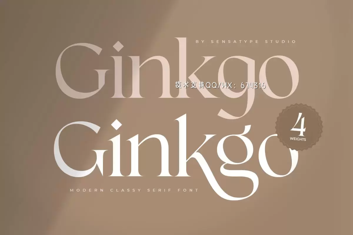 Ginkgo – 时尚高端优雅现代优雅衬线字体插图