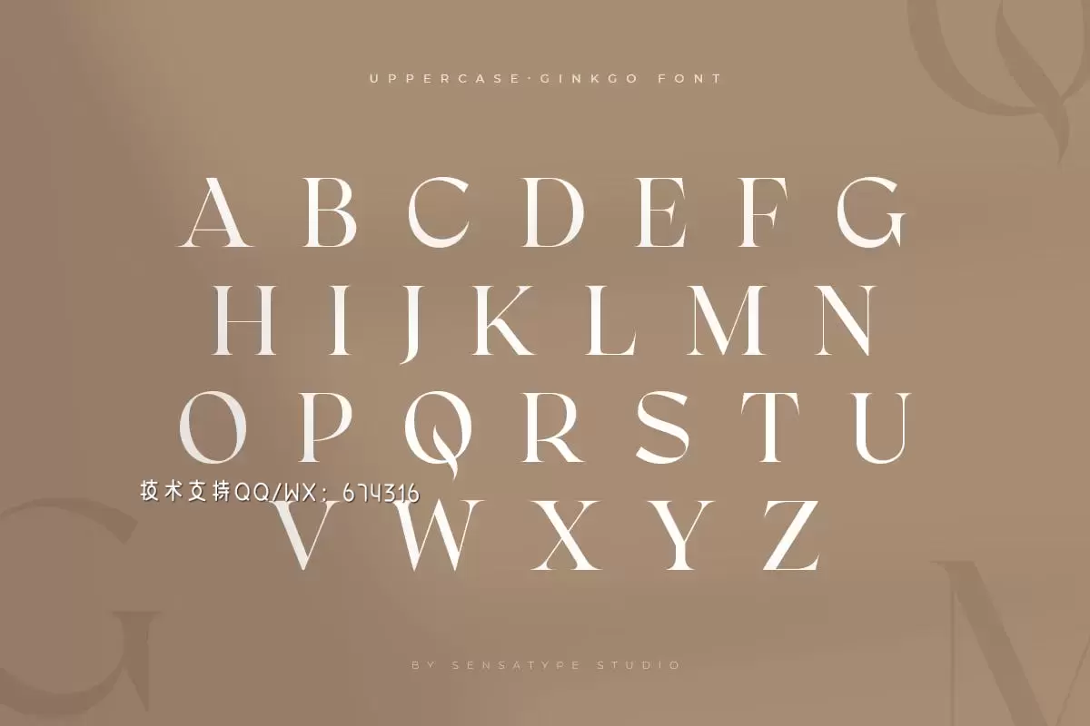 Ginkgo – 时尚高端优雅现代优雅衬线字体插图14