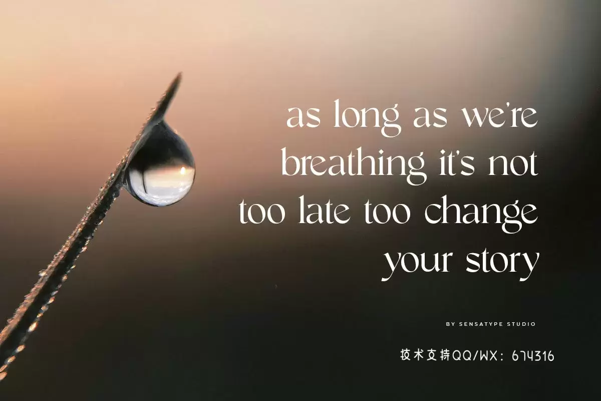 Ginkgo – 时尚高端优雅现代优雅衬线字体插图13