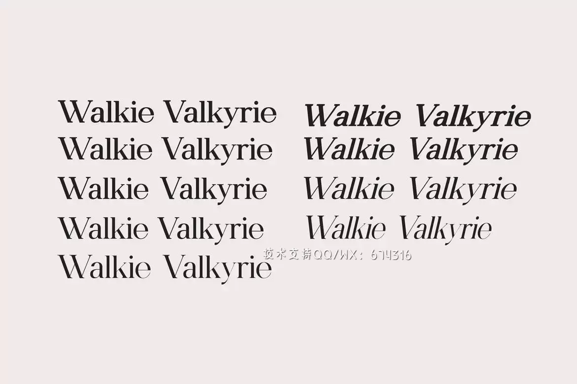 时尚高端专业的高品质Walkie Valkyrie Serif 字体系列插图3