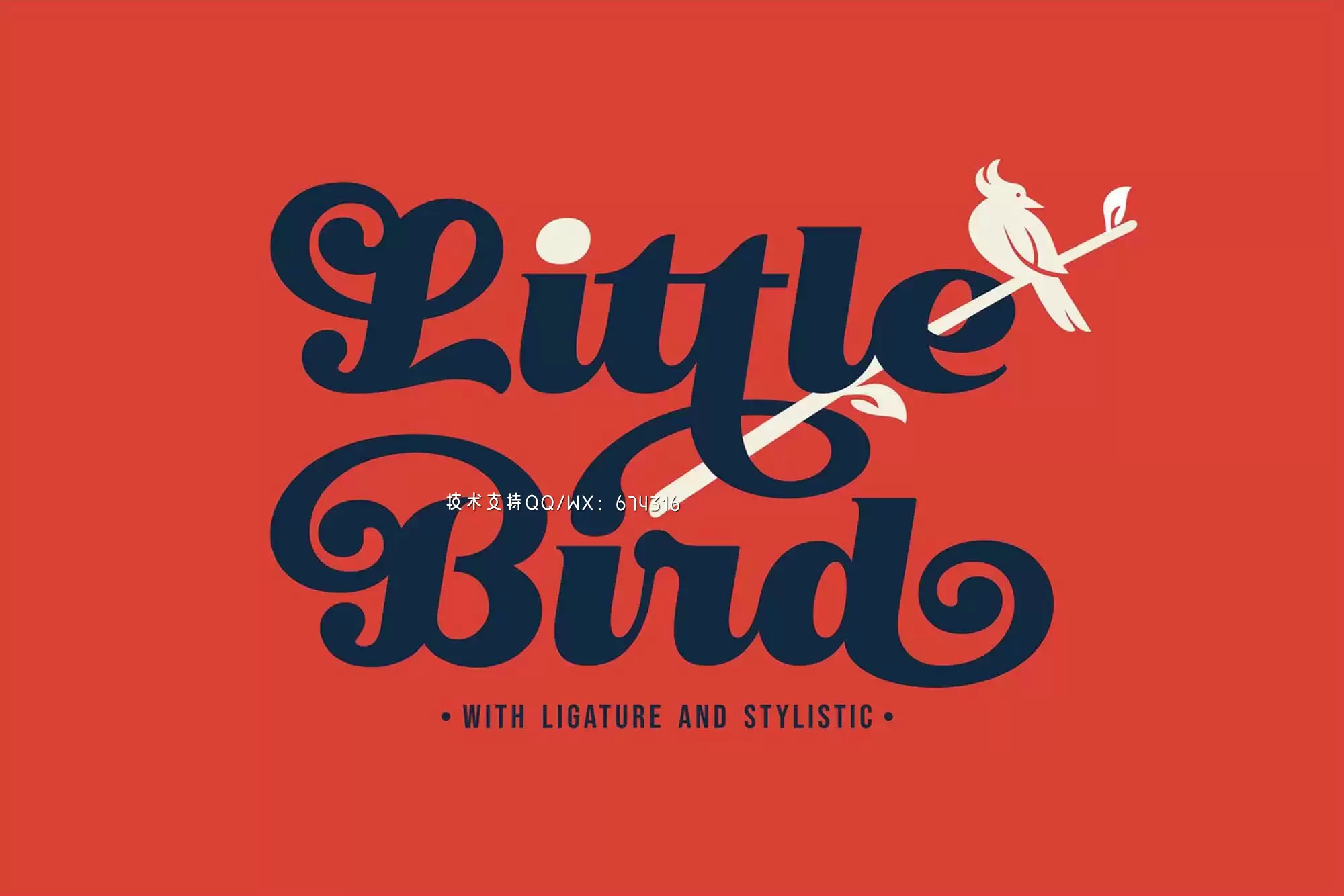 优雅时尚高端清新英文字体-little birds插图8