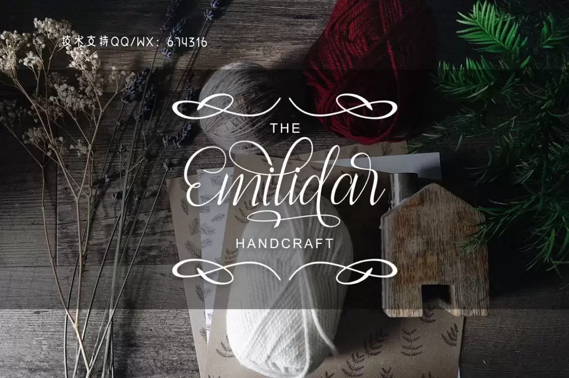 Fonts | 经典现代独特流畅干净简洁优美字形曲线衬线英文字体插图2