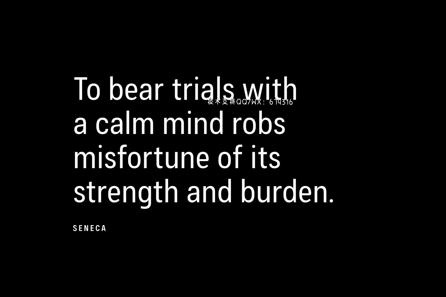 多用途时尚衬线字体 Couplet CF: versatile humanist sans插图1