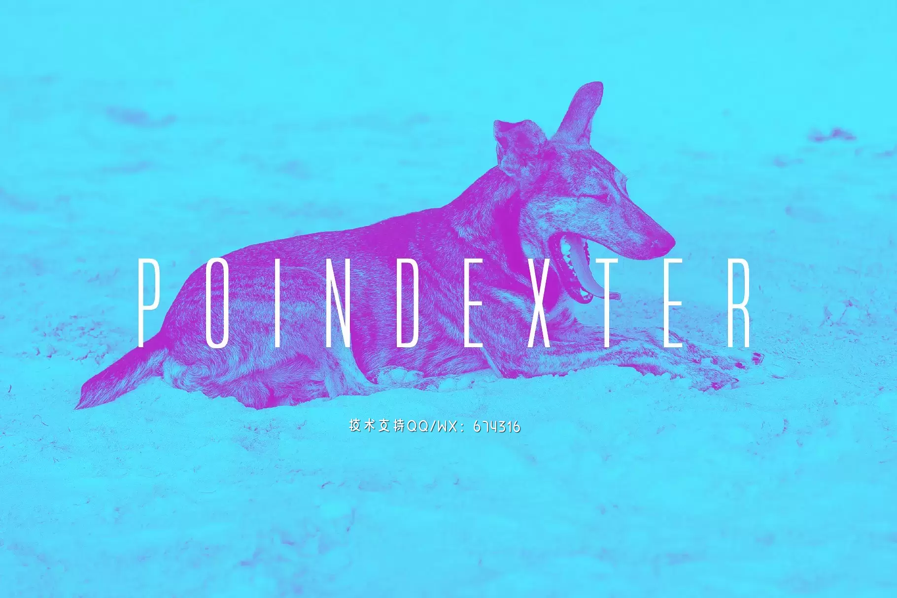 纤细时尚设计字体 Poindexter – Five Sans Fonts免费下载