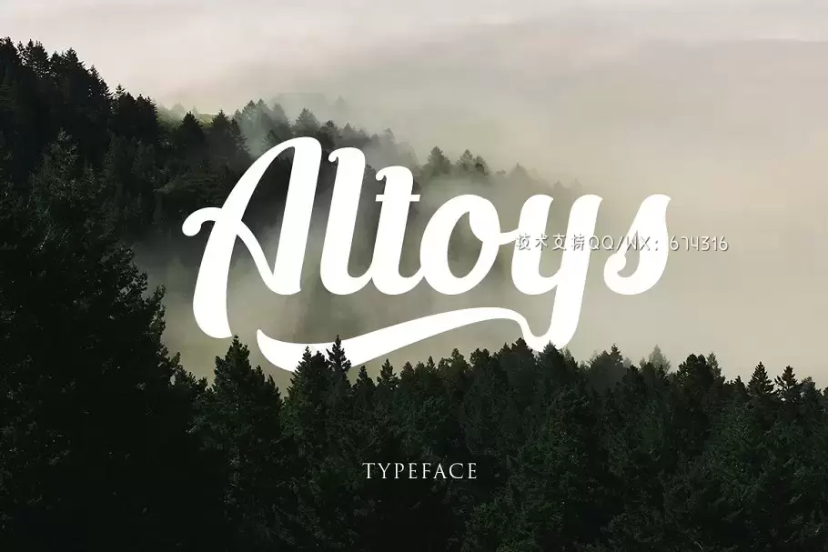 时尚个性字体 Altoys Typeface免费下载