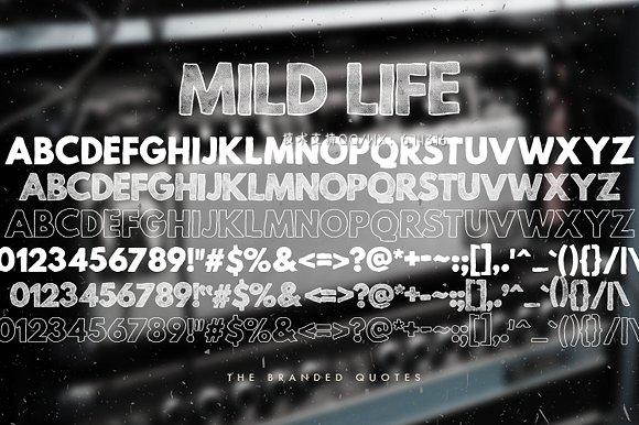 肌理设计字体 Mild Life Typeface插图4