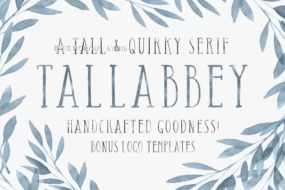 复古清新设计字体 Tall Abbey Serif + 5 Logo Templates免费下载