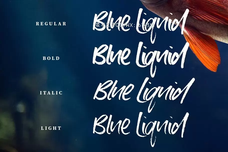 手写毛笔字体 Blue Liquid Marker Font插图12