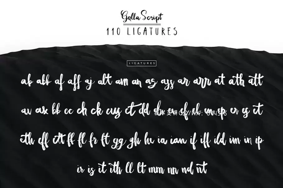 时尚大气手写字体 Galla Font Duo下载 时尚大气手写字体 Galla Font Duo下载