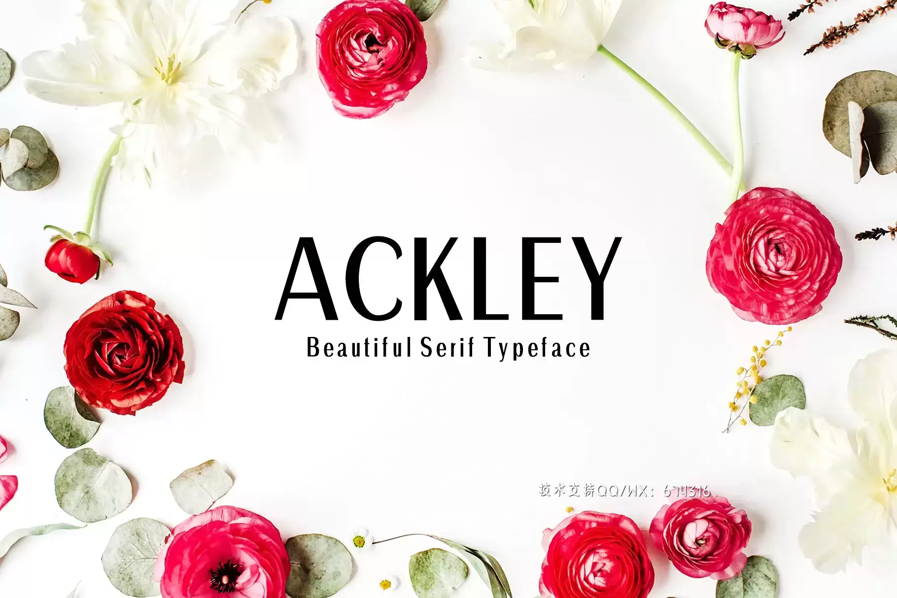 优雅品牌设计字体 Ackley Sans Serif 7 Font Family插图