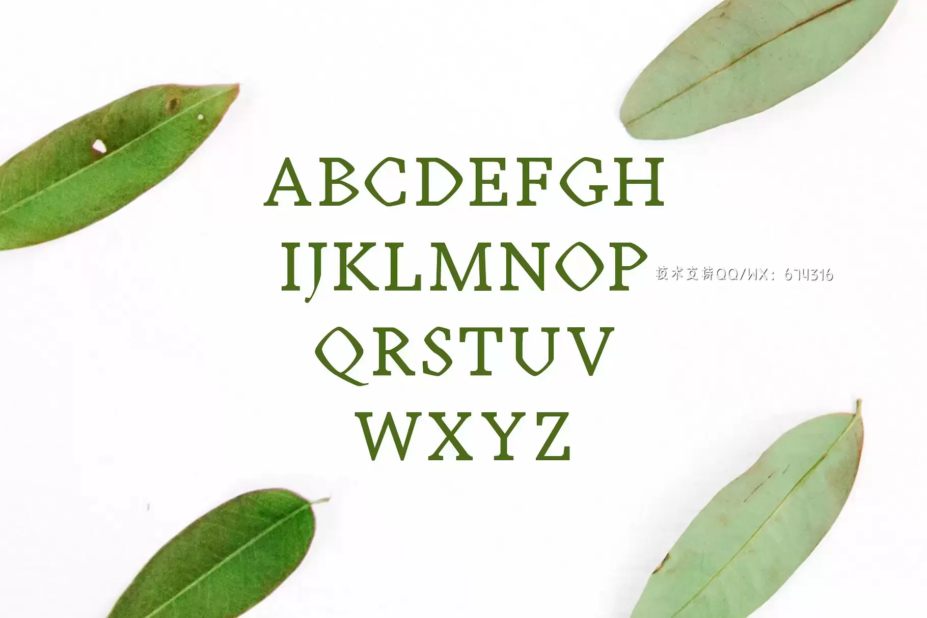 优雅清新字体 Achazia Serif 4 Font Family Pack插图1