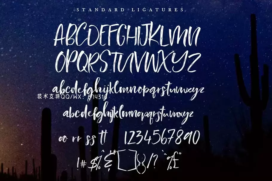 手写笔刷字体 Southerner Brush Script Typeface插图12