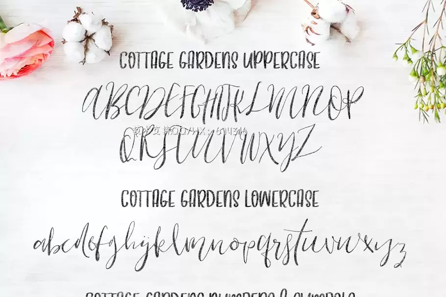 时尚优雅手写字体 Cottage Gardens Script Font Duo插图1