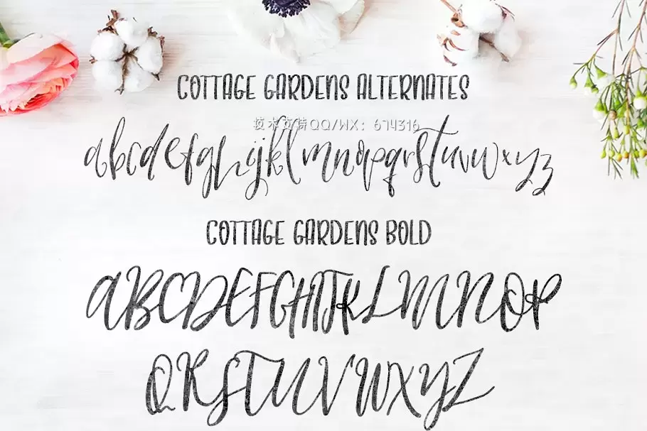 时尚优雅手写字体 Cottage Gardens Script Font Duo插图2