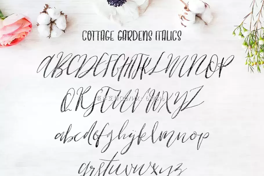 时尚优雅手写字体 Cottage Gardens Script Font Duo插图3