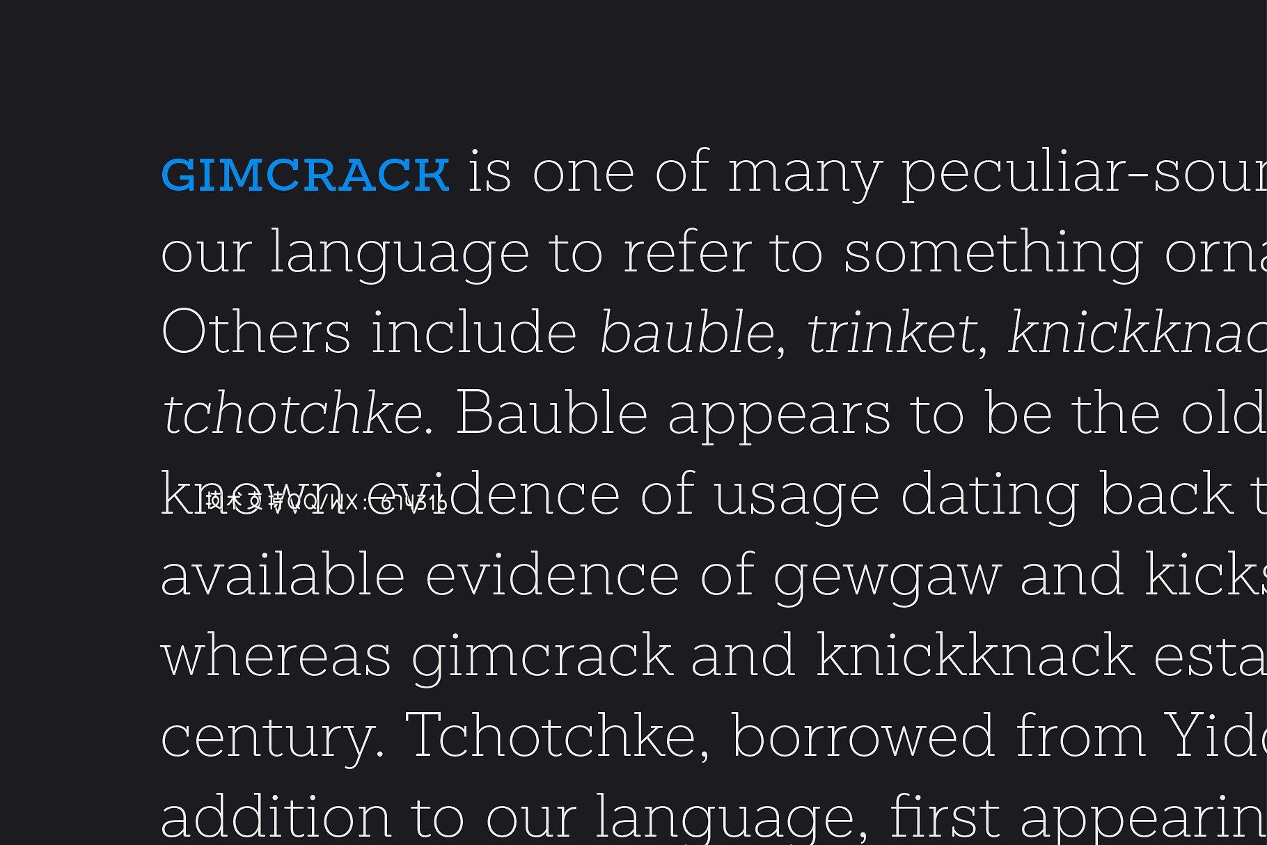 衬线字体 Sánchez Niu插图7