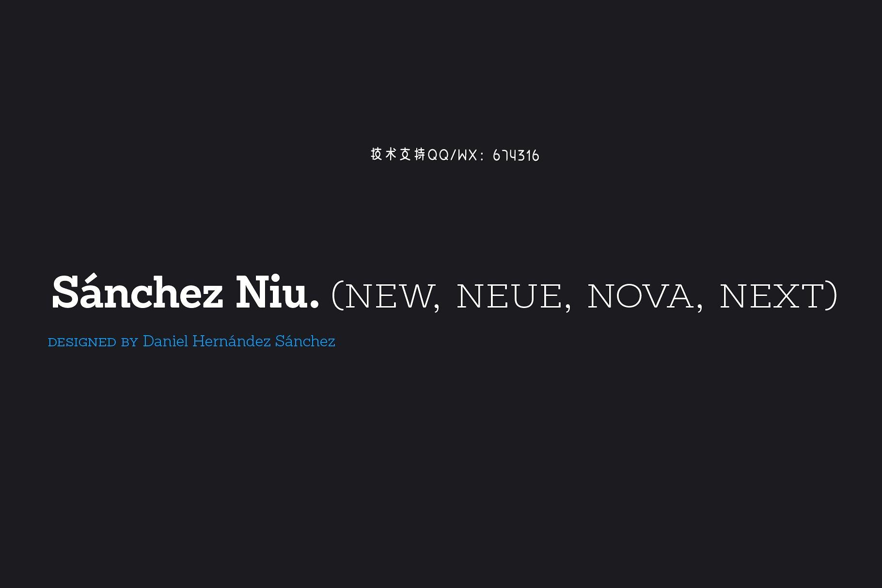 衬线字体 Sánchez Niu插图
