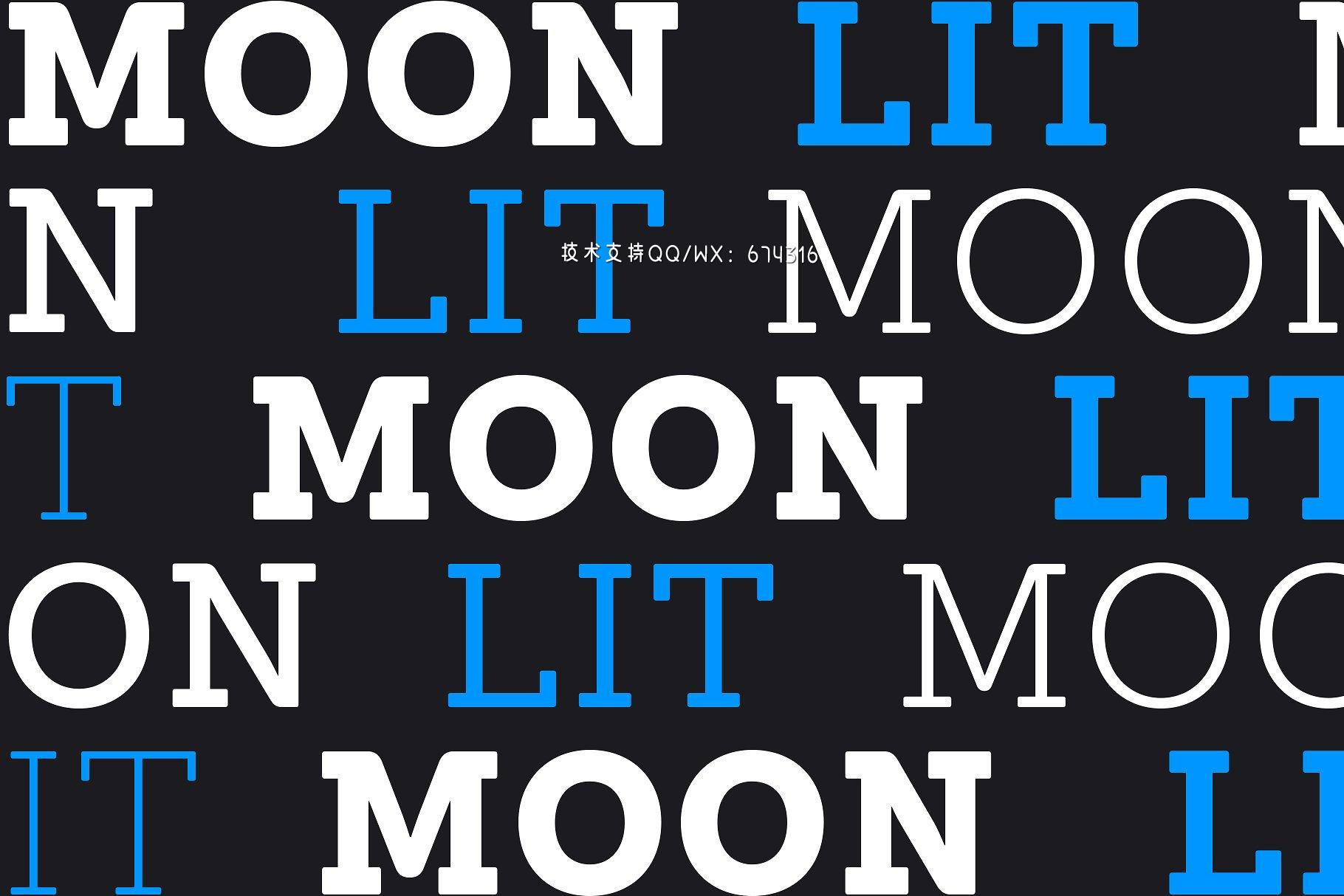 衬线字体 Sánchez Niu插图10