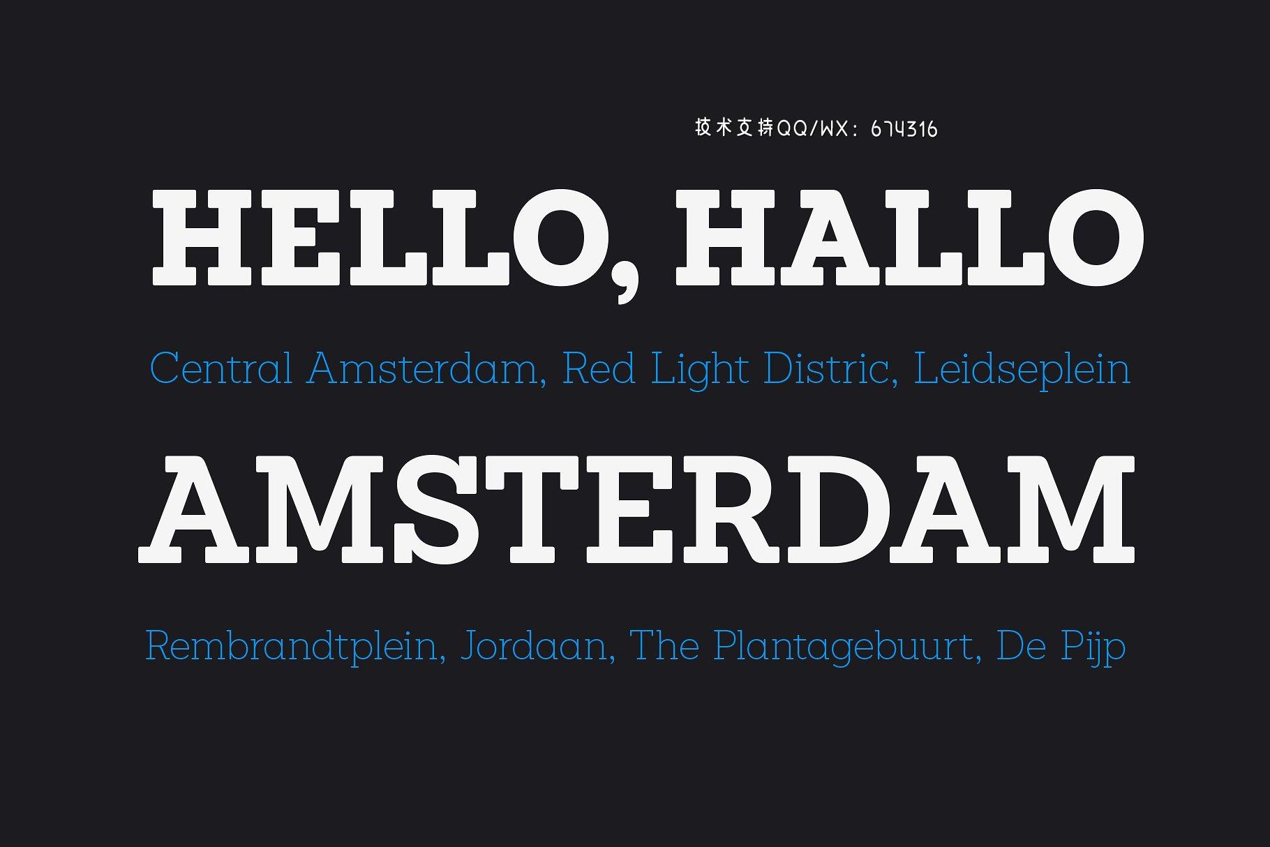 衬线字体 Sánchez Niu插图1