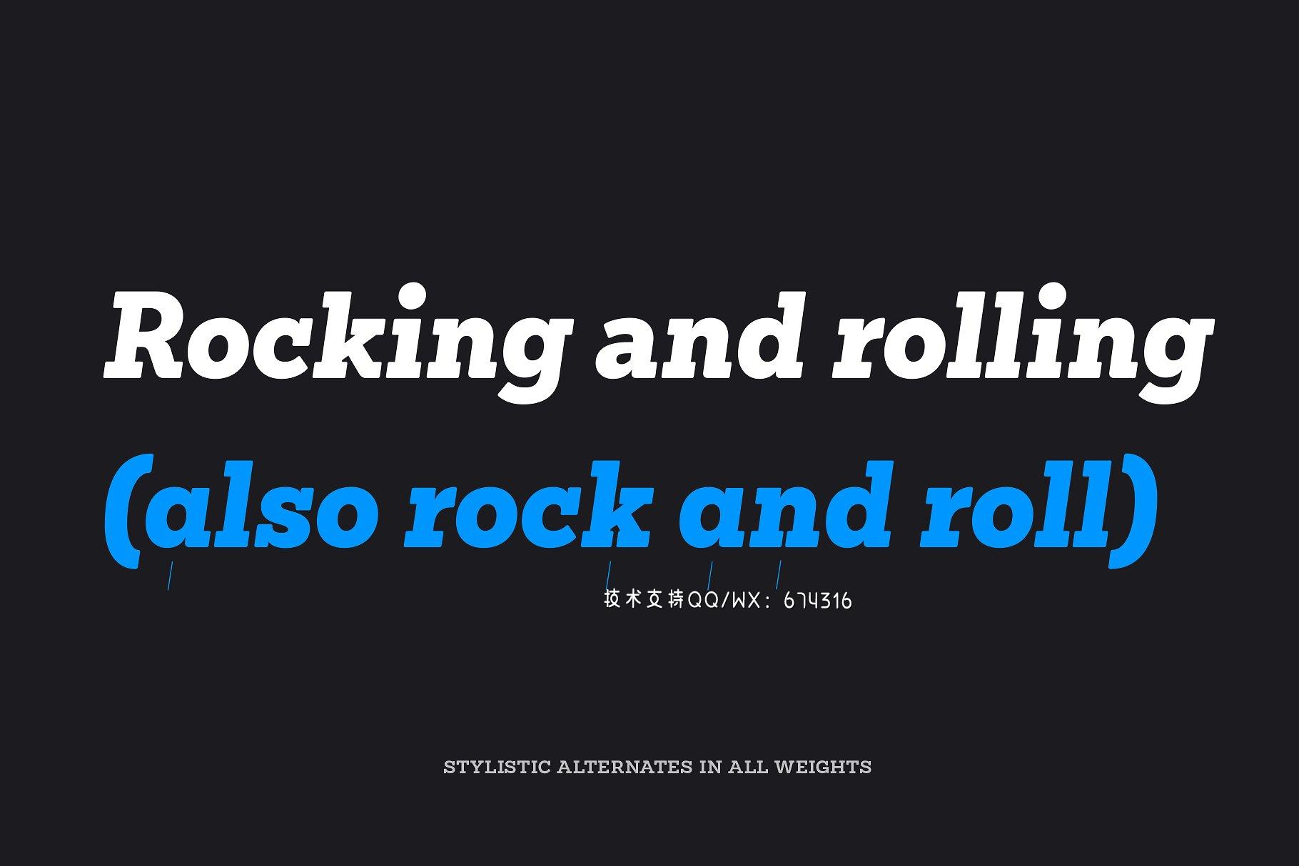 衬线字体 Sánchez Niu插图2