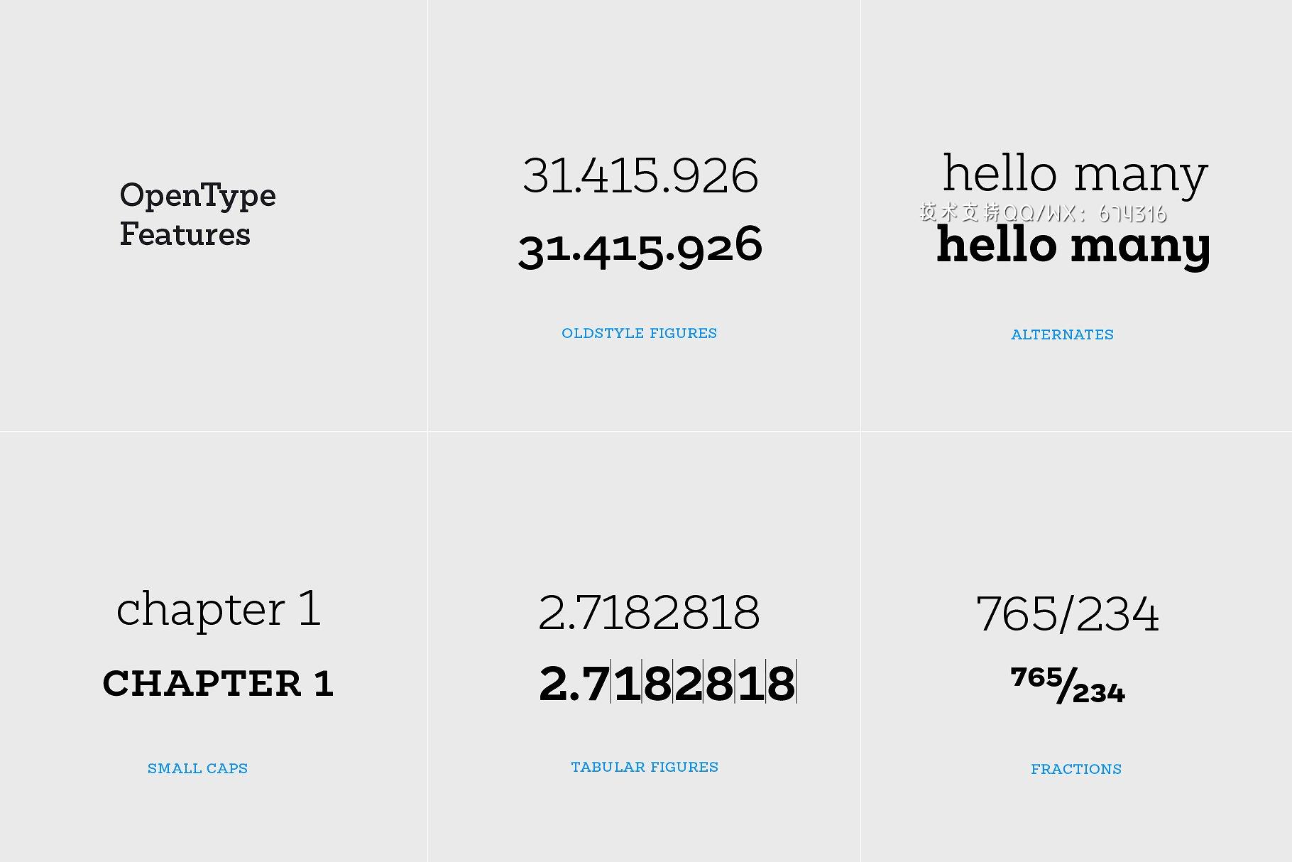 衬线字体 Sánchez Niu插图9