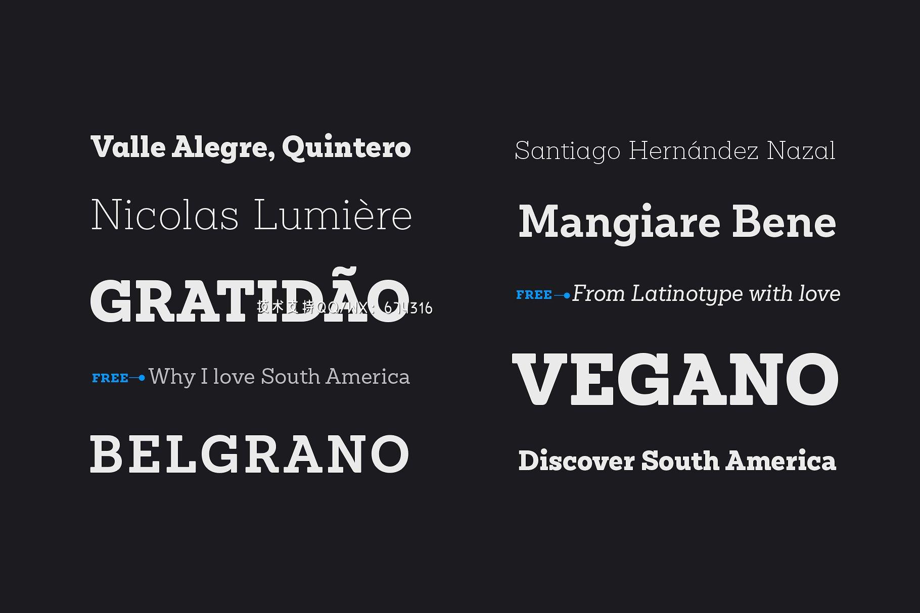 衬线字体 Sánchez Niu插图5