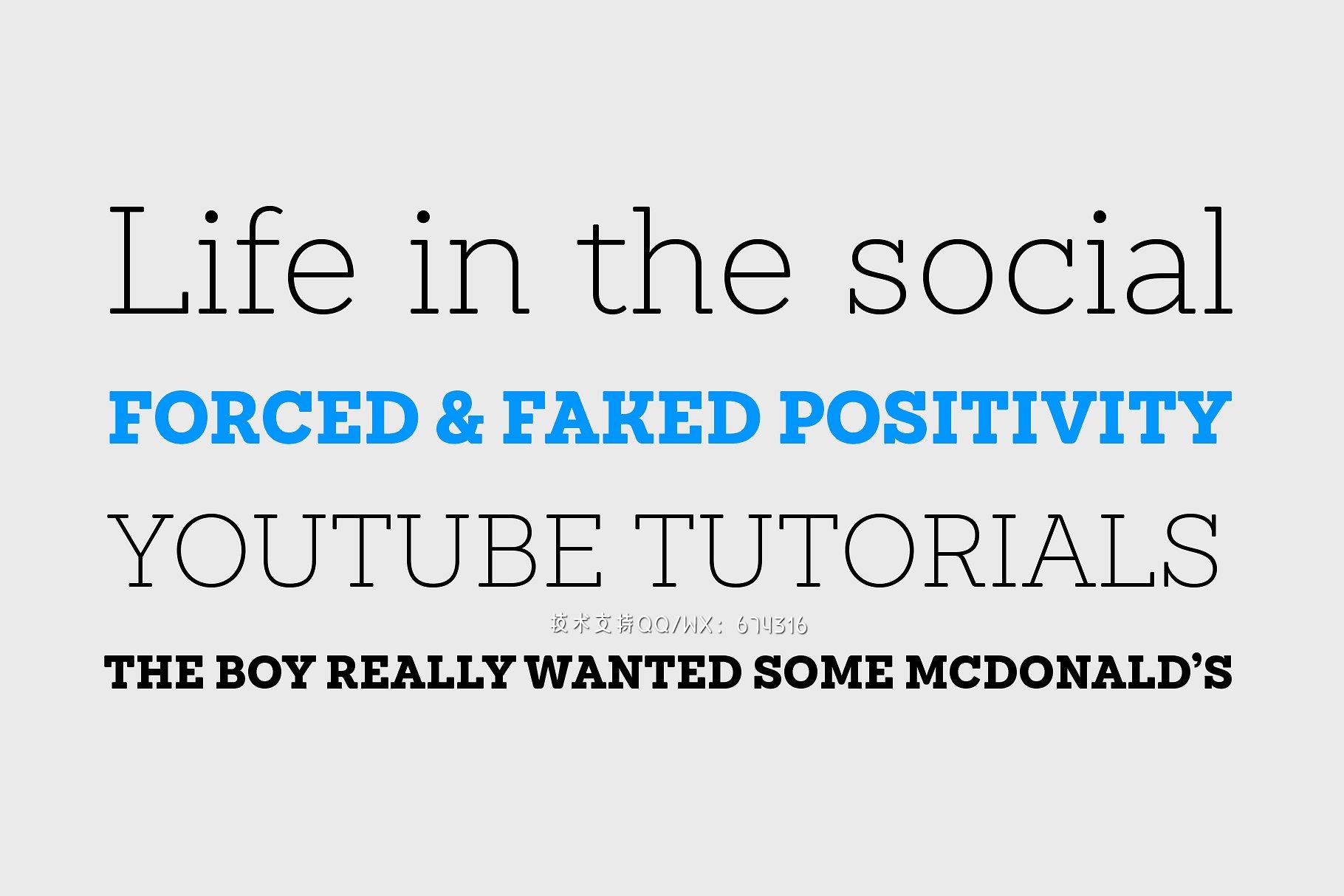 衬线字体 Sánchez Niu插图8