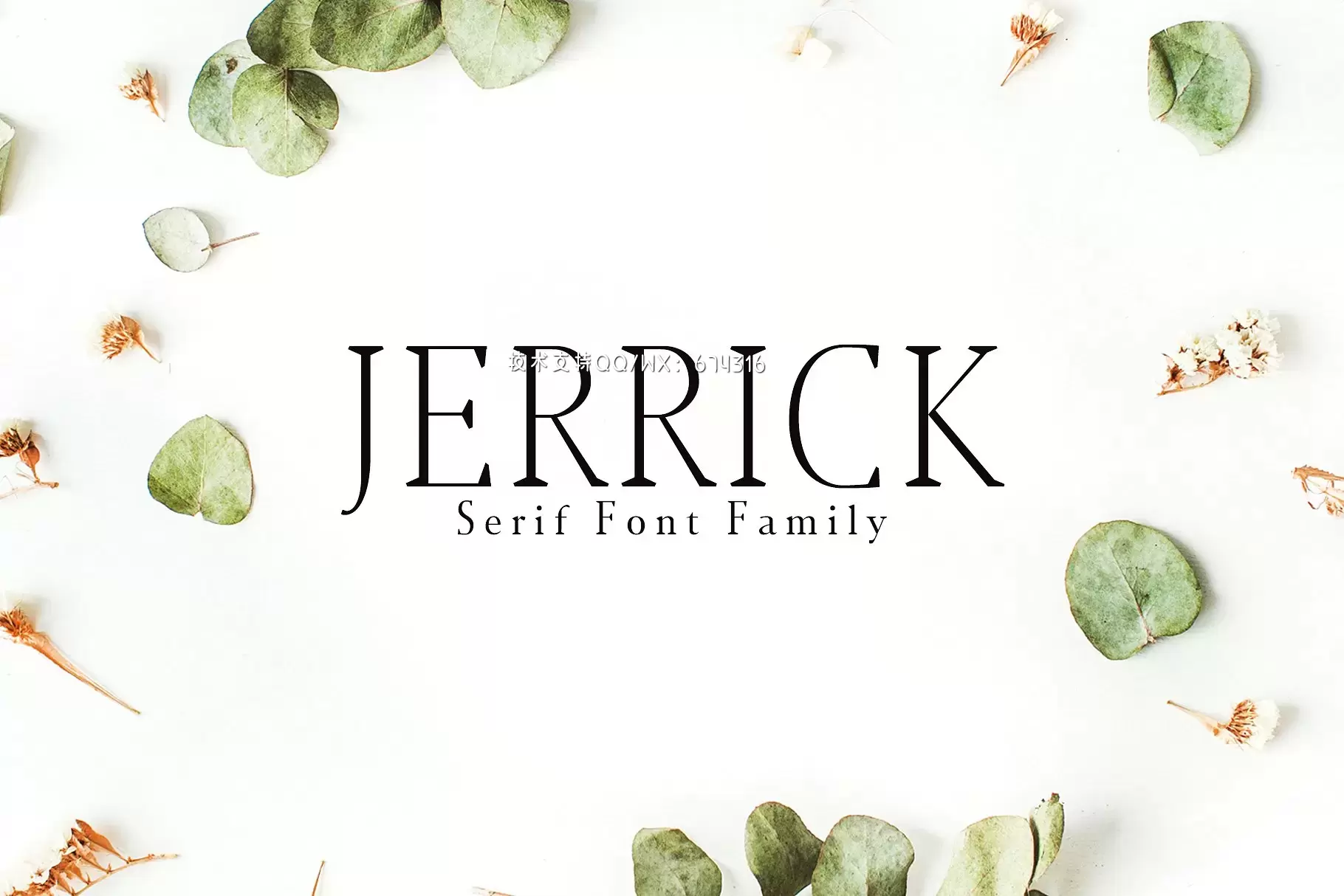 时尚高端设计字体 Jerrick Serif 6 Font Pack免费下载