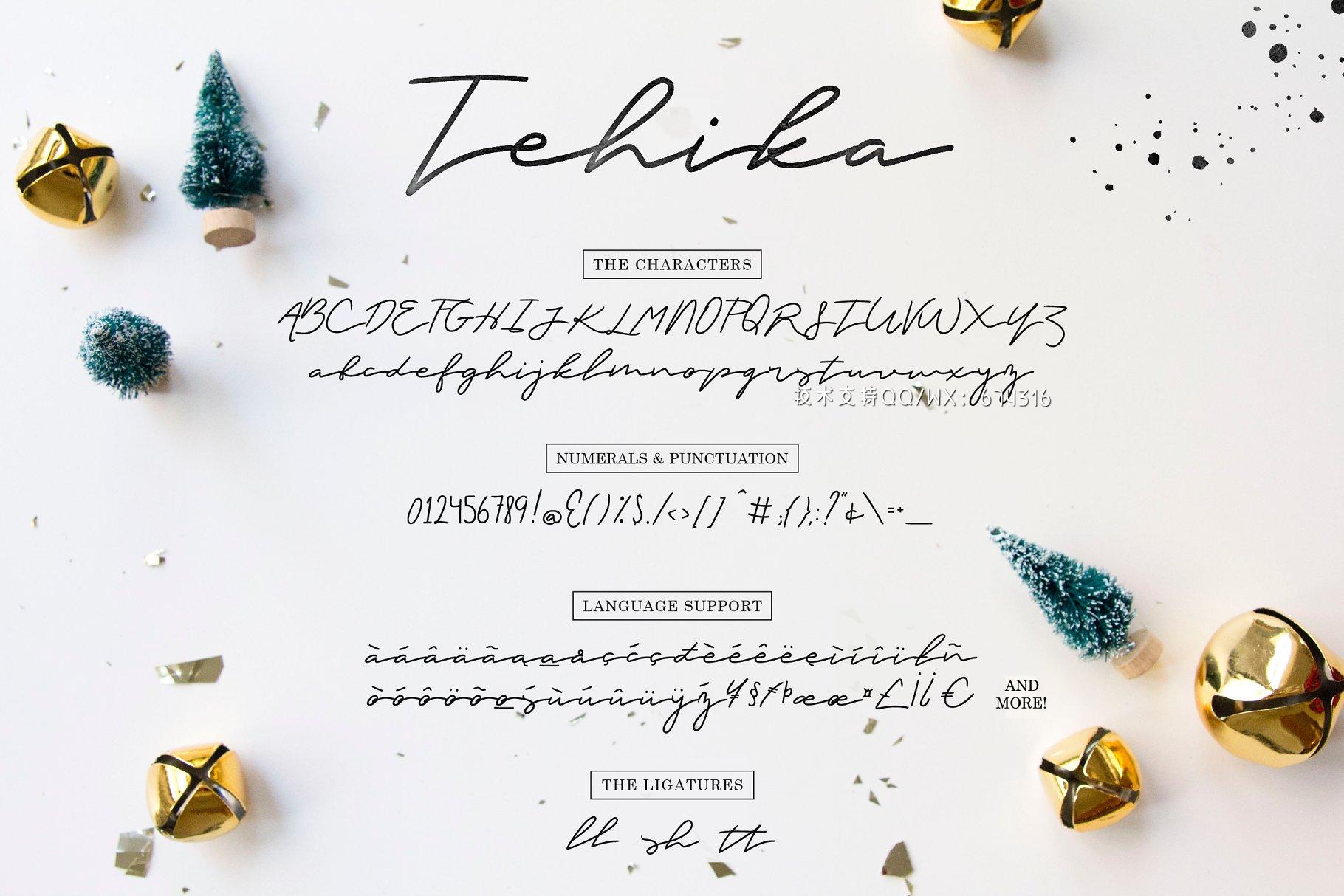 手写节日脚本字体 Tehika Script + Bonus插图5