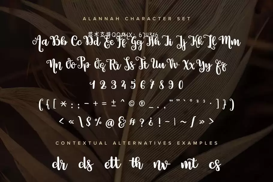 手写草书字体 Alannah Typeface插图4